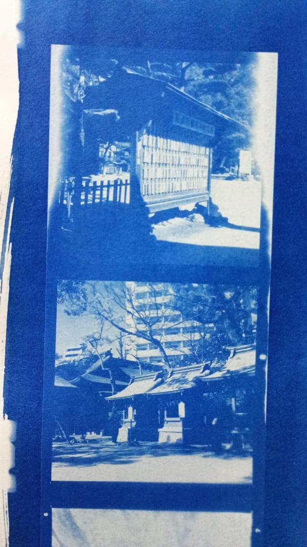 Mamyaflex Automat B 動作OK TLR