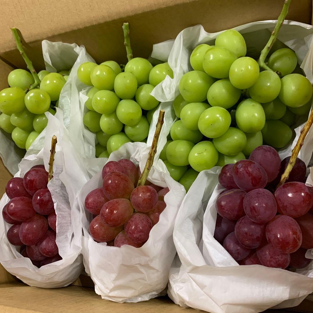 信州　大粒シャインマスカット＆クイーンルージュ®︎ （3キロ箱）