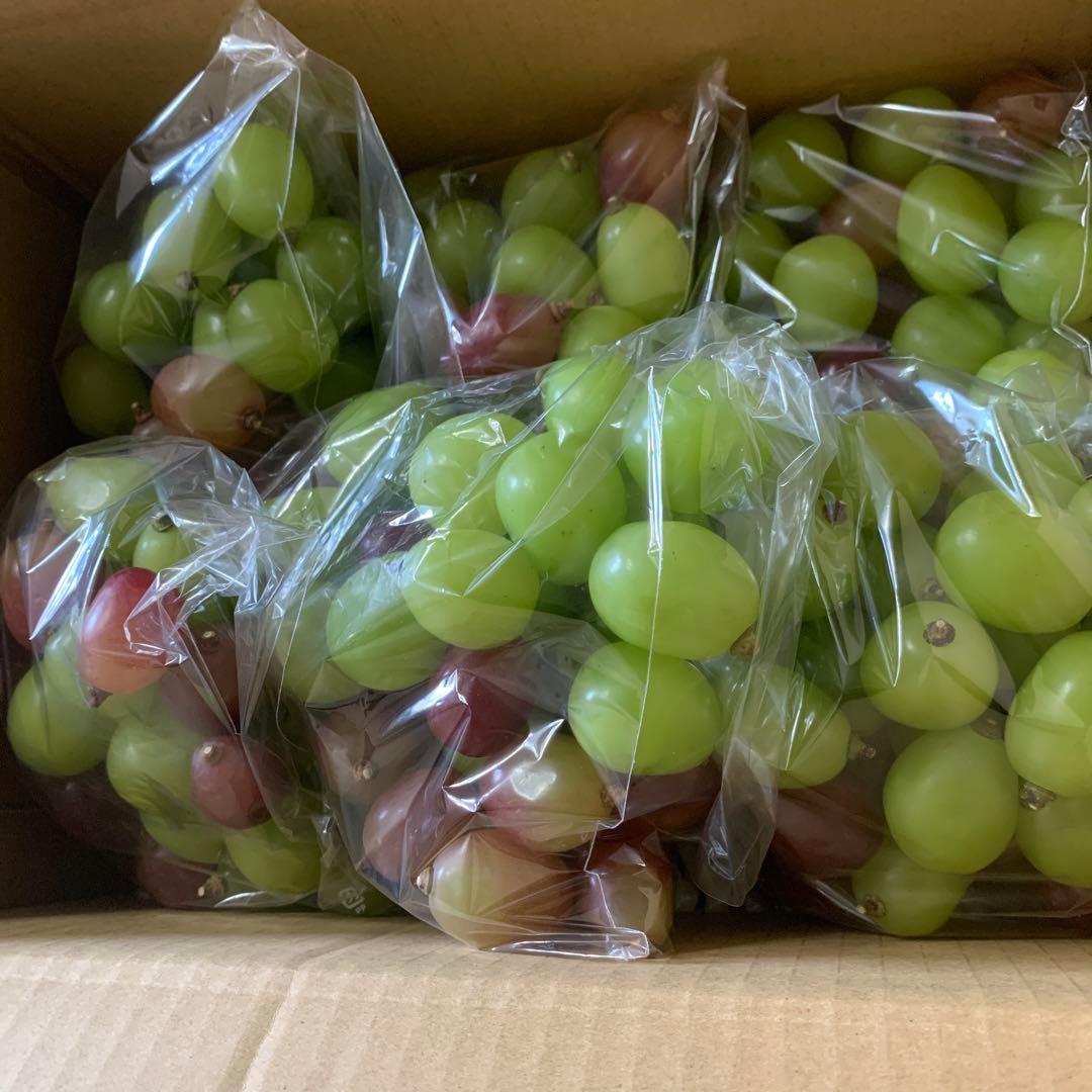 信州　大粒シャインマスカット＆クイーンルージュ®︎ （3キロ箱）