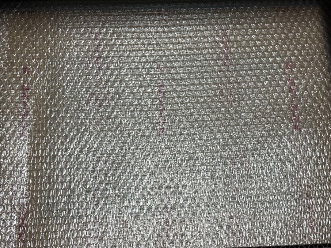 新品・未開封　渡辺けんじ　複製原画 デジモンアドベンチャー　25周年記念アート