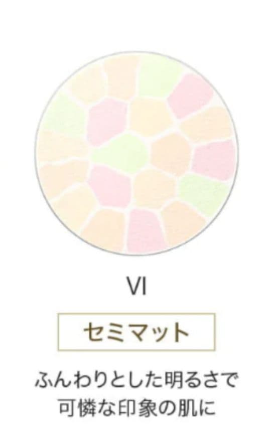 エレガンスラプードルオートニュアンスリクスィーズ Ⅵ レフィル