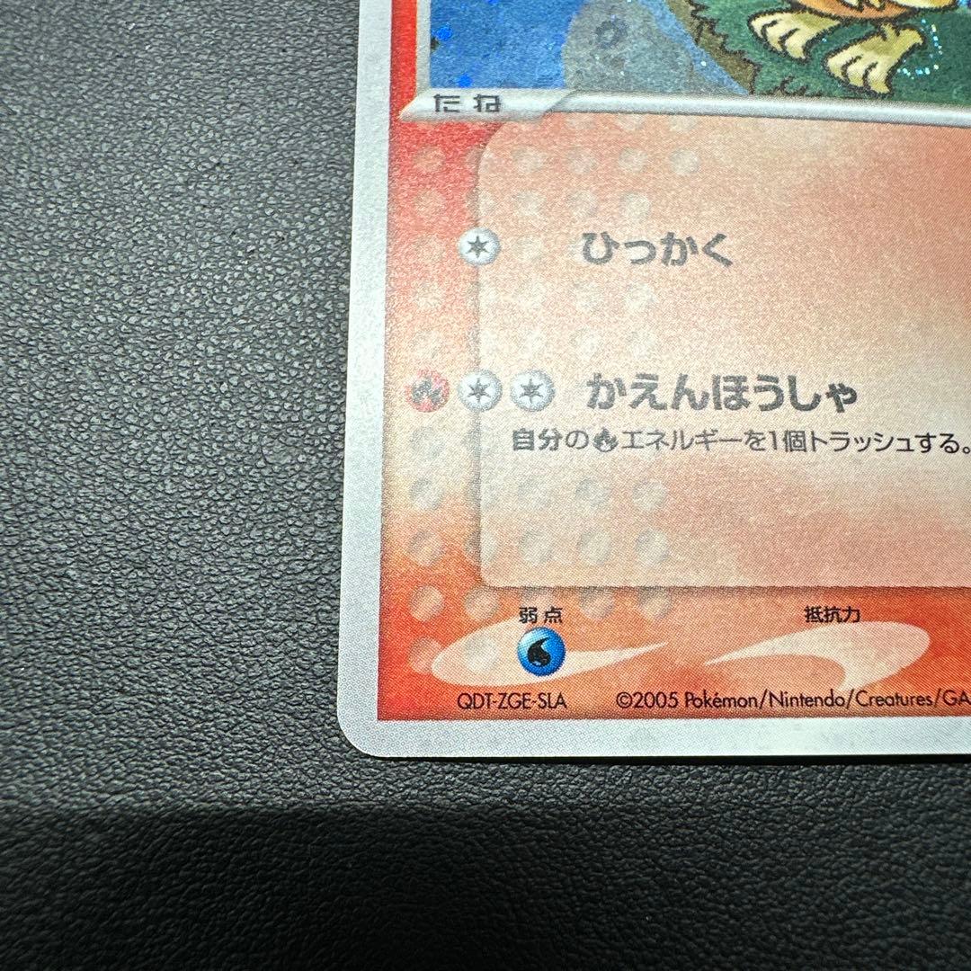 ポケパークのアチャモ ポケパークプレミアムファイル 002/009