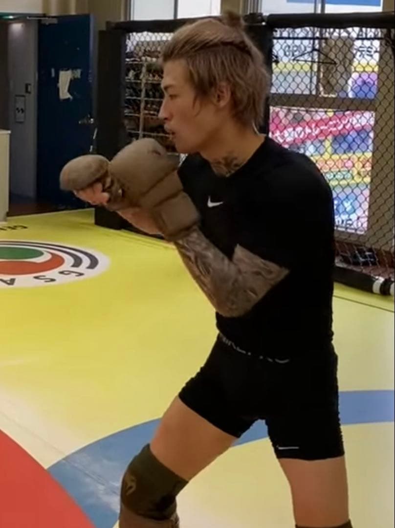 【vanillas】MMA グローブ Hayabusa 隼