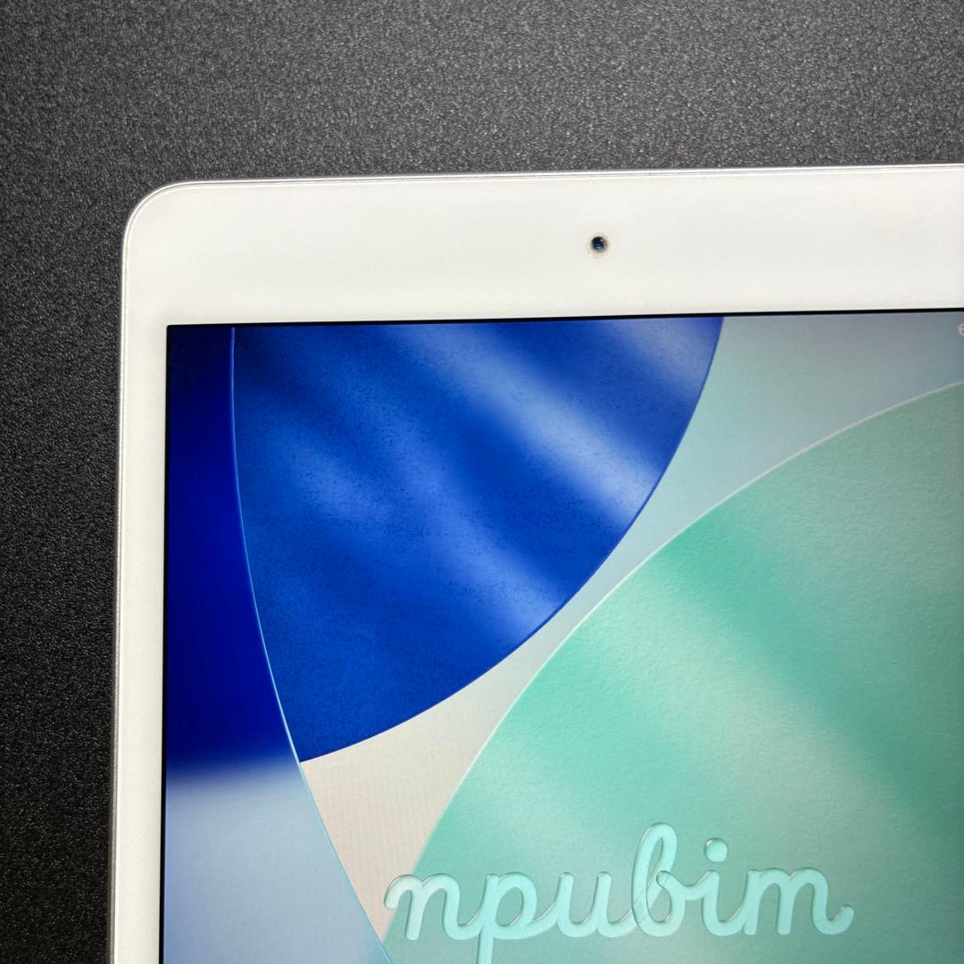 iPad mini 第5世代　256GB