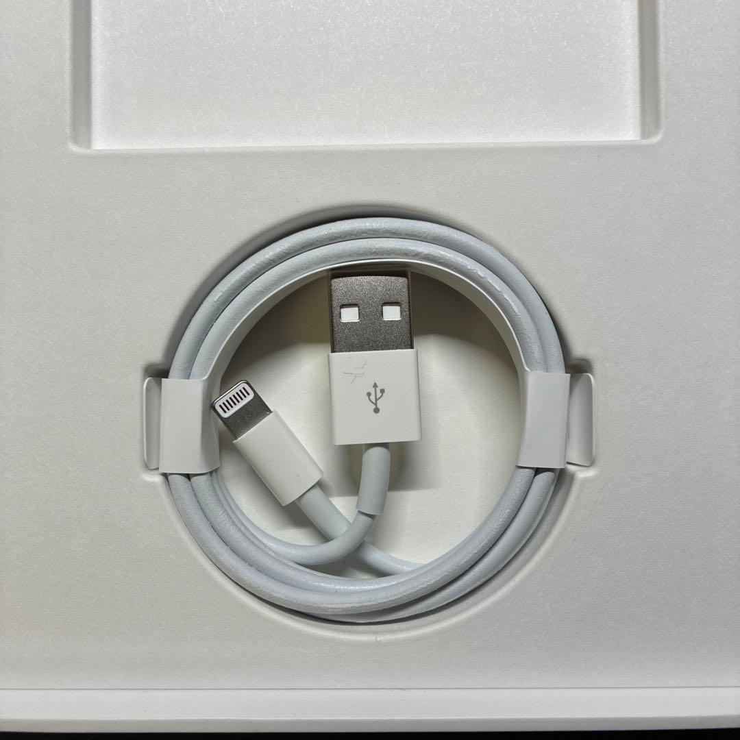 iPad mini 第5世代　256GB