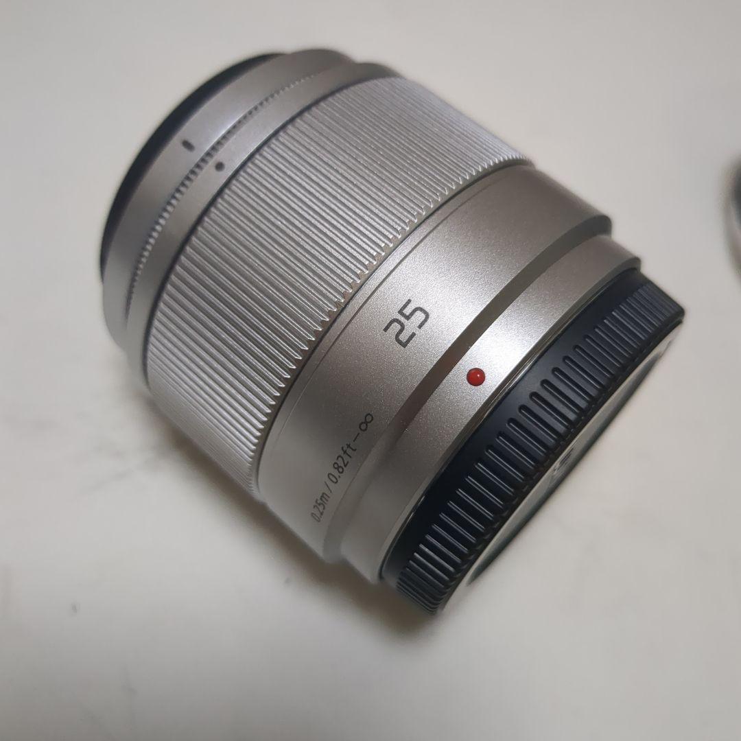 Panasonic DC-GF9W ミラーレスカメラ オレンジ　取扱説明書付き