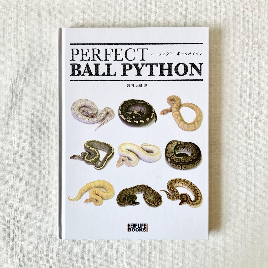 【絶版】PERFECT BALLPYTHON パーフェクトボールパイソン 爬虫類