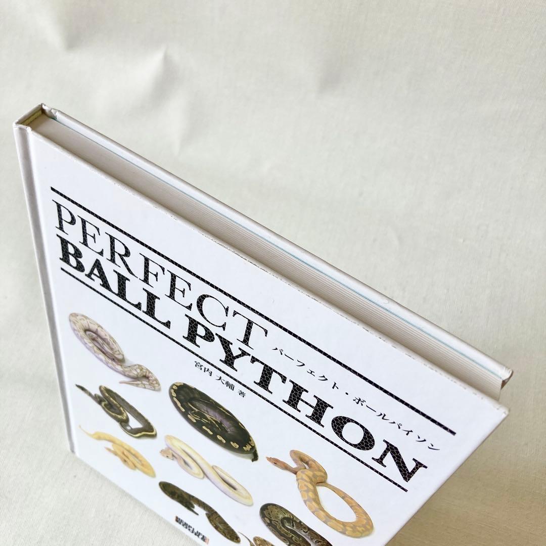 【絶版】PERFECT BALLPYTHON パーフェクトボールパイソン 爬虫類