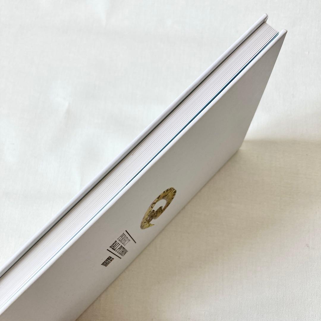 【絶版】PERFECT BALLPYTHON パーフェクトボールパイソン 爬虫類