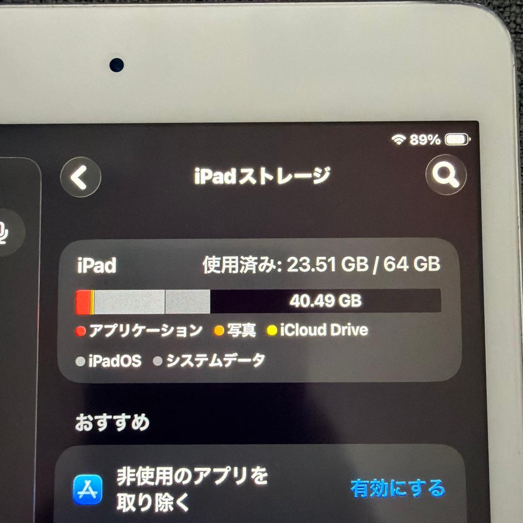 iPad本体 iPadmini5 64GB WiFi