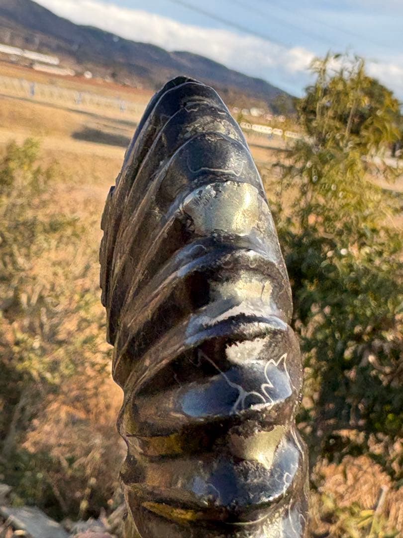 ❗️ ✳厳選　超レア　❤️大きめ　極美品アンモナイト　収蔵品　天然原石　化石 水晶