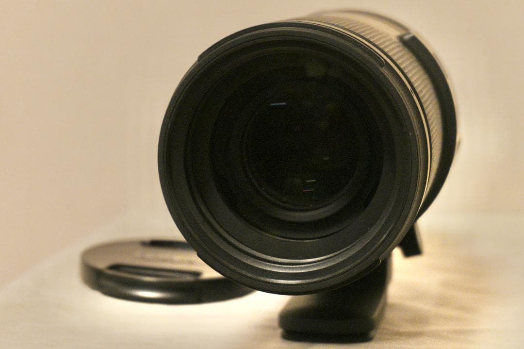 TAMRON 150-500mm F/5-6.7 for SONY Eマウント