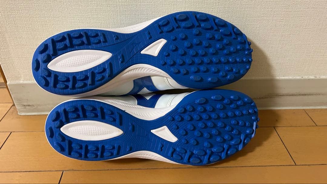 モレリア サラ tf ジャパン