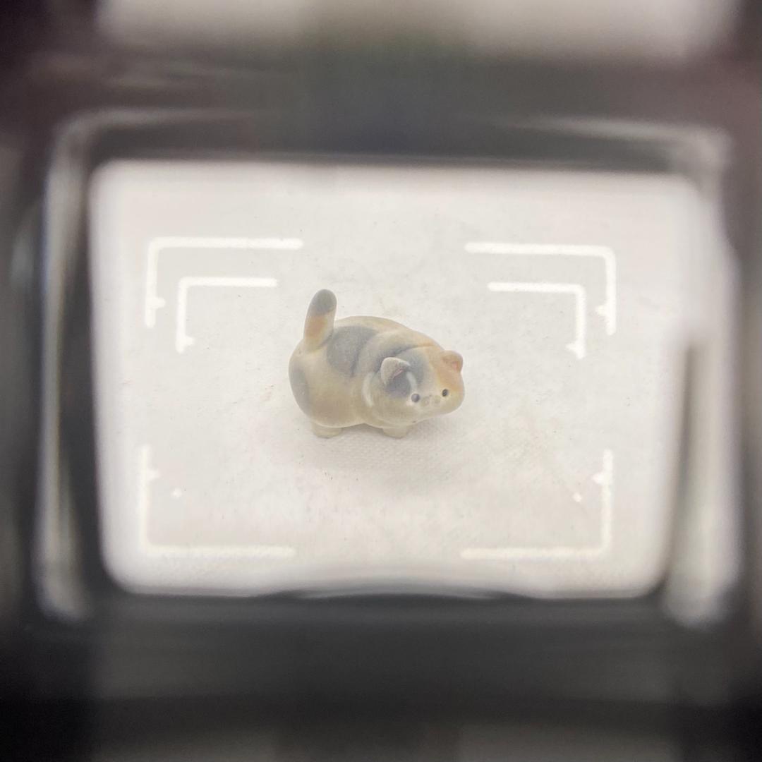 【C6181】Konica コニカ Big Mini F フイルムカメラ