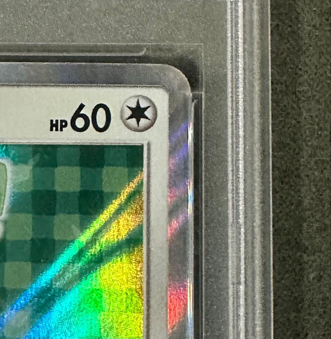 【psa10】ポンチョを着たイーブイ　リーフィア