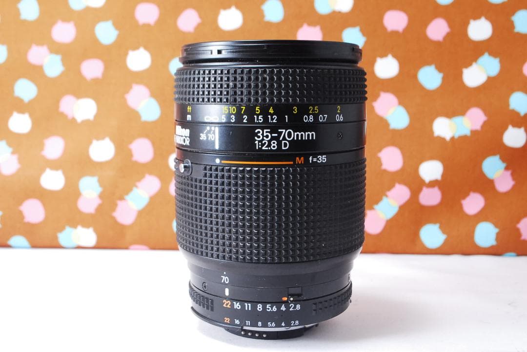 ✨お安くデビュー✨ショット数5056回✨Nikon D70 レンズセット