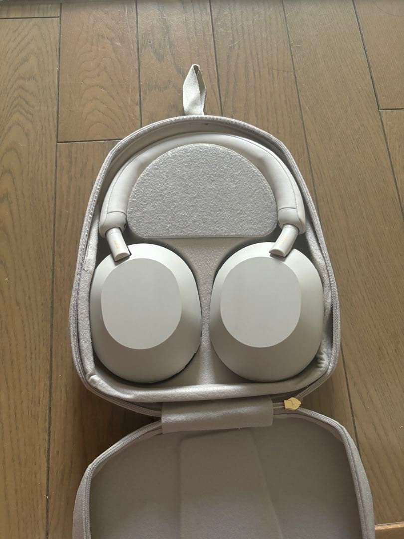 Wh-100Xm5 プラチナシルバー