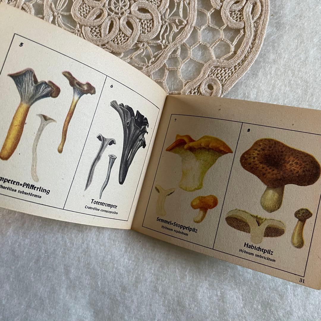 miru様 リクエスト 5点 まとめ商品