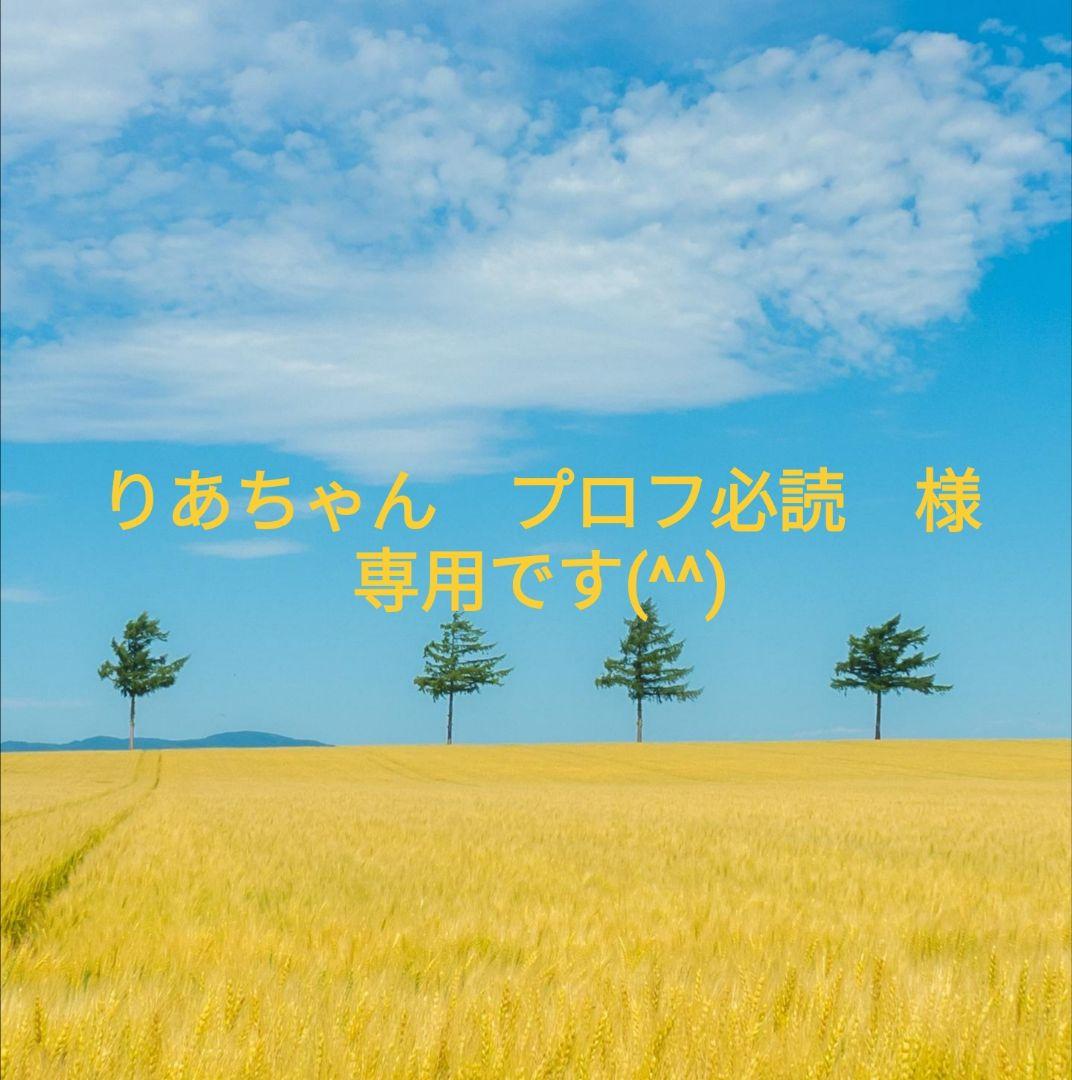 モンロワールとルペパン　人気のリーフチョコ（リーフメモリー）４セット