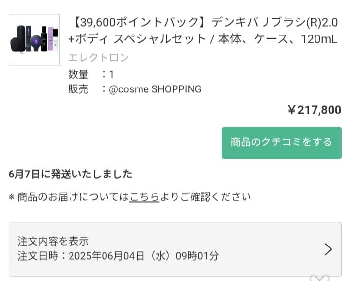 【美品・保証書あり】デンキバリブラシ2.0+ボディ（ケース付）ELECTRON
