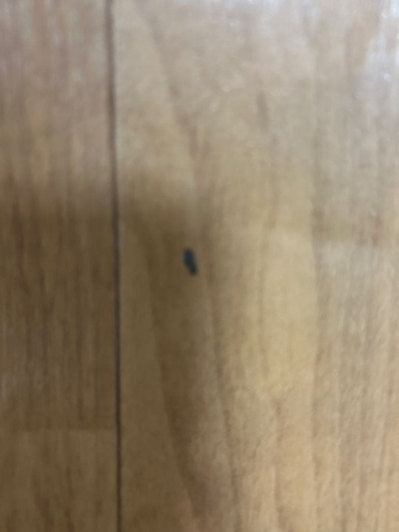 送料込パナソニック　フローリング　床暖 DC-2V3 電気カーペット2畳