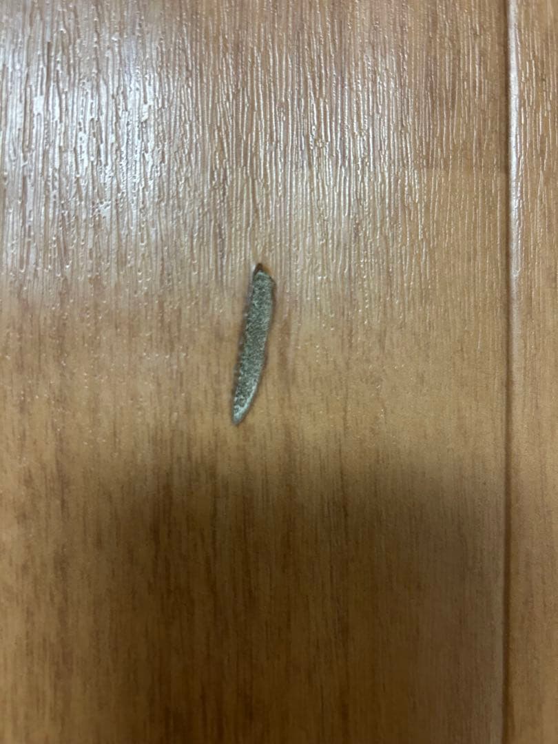 送料込パナソニック　フローリング　床暖 DC-2V3 電気カーペット2畳