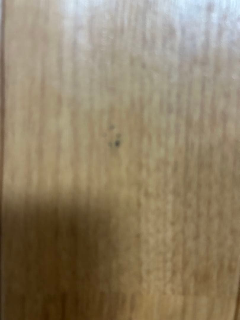 送料込パナソニック　フローリング　床暖 DC-2V3 電気カーペット2畳