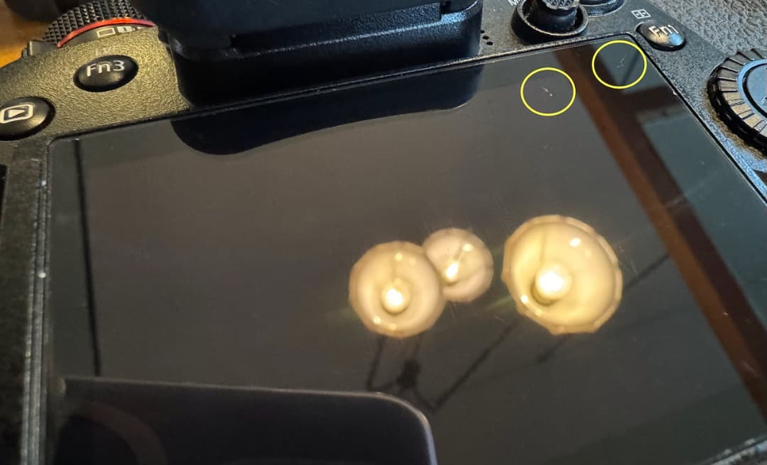 【タイムセール！】Pana LUMIX G9 Pro V-Log L 拡張済み