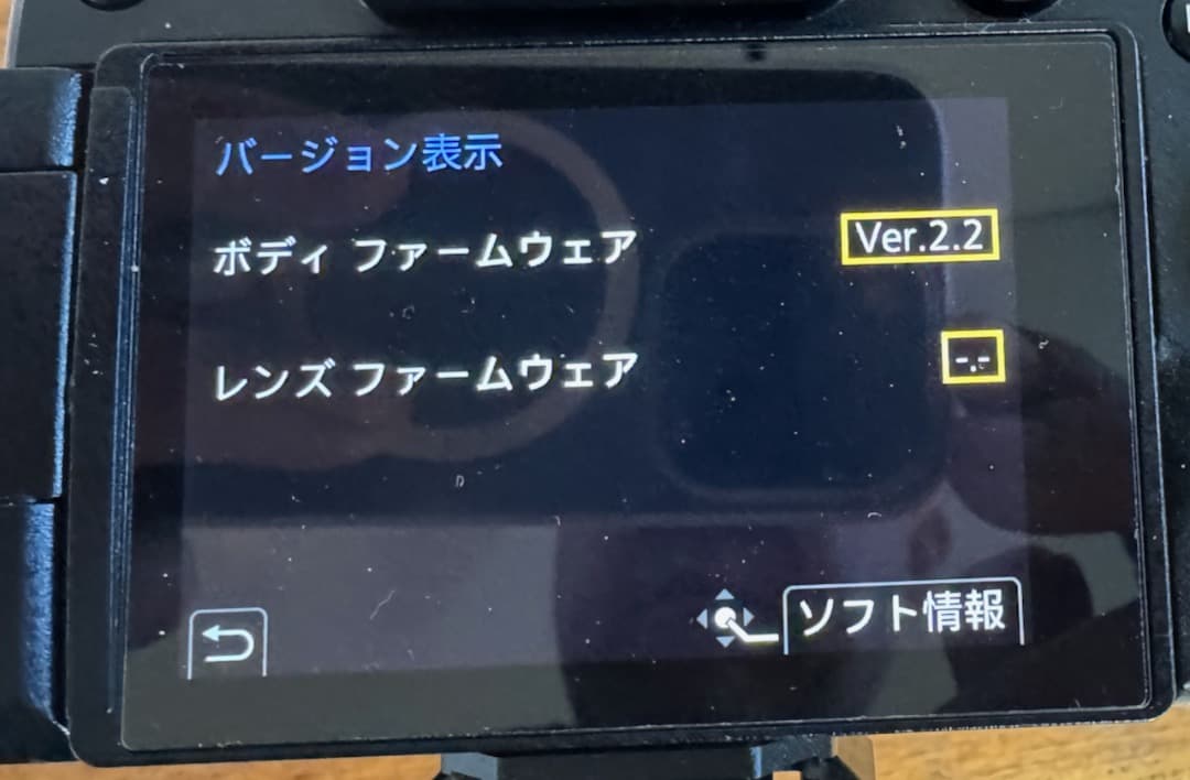 【タイムセール！】Pana LUMIX G9 Pro V-Log L 拡張済み