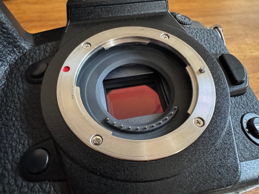 【タイムセール！】Pana LUMIX G9 Pro V-Log L 拡張済み