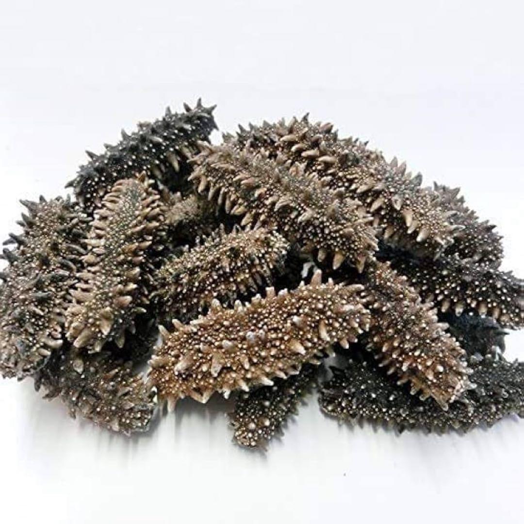 【北海道産】 乾燥なまこ 天然 厳選A級品 100g S(5g以下