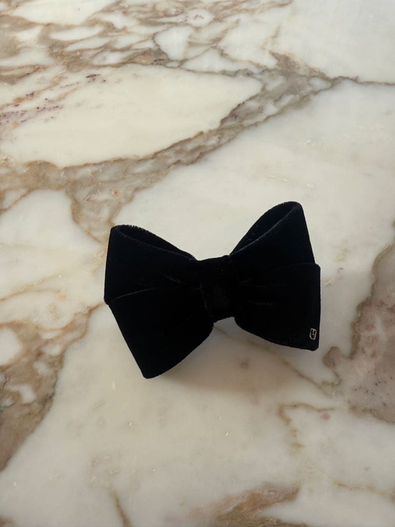 アレクサンドルドゥパリ　リボンバレッタ