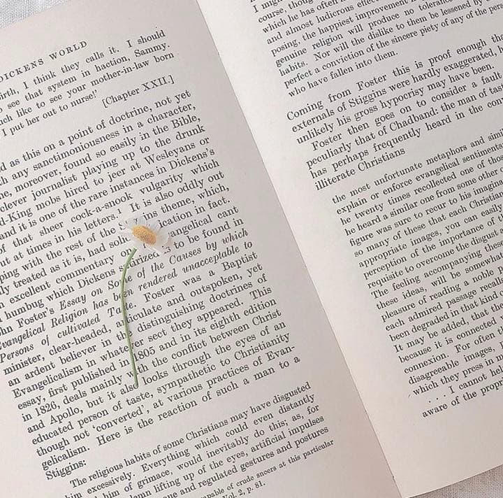 押し花スマホケース♡アートギャラリー