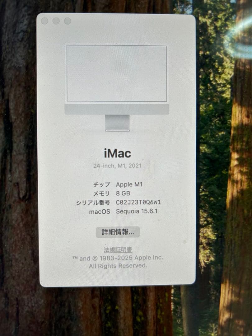 Apple iMac シルバー24インチ M1 2021