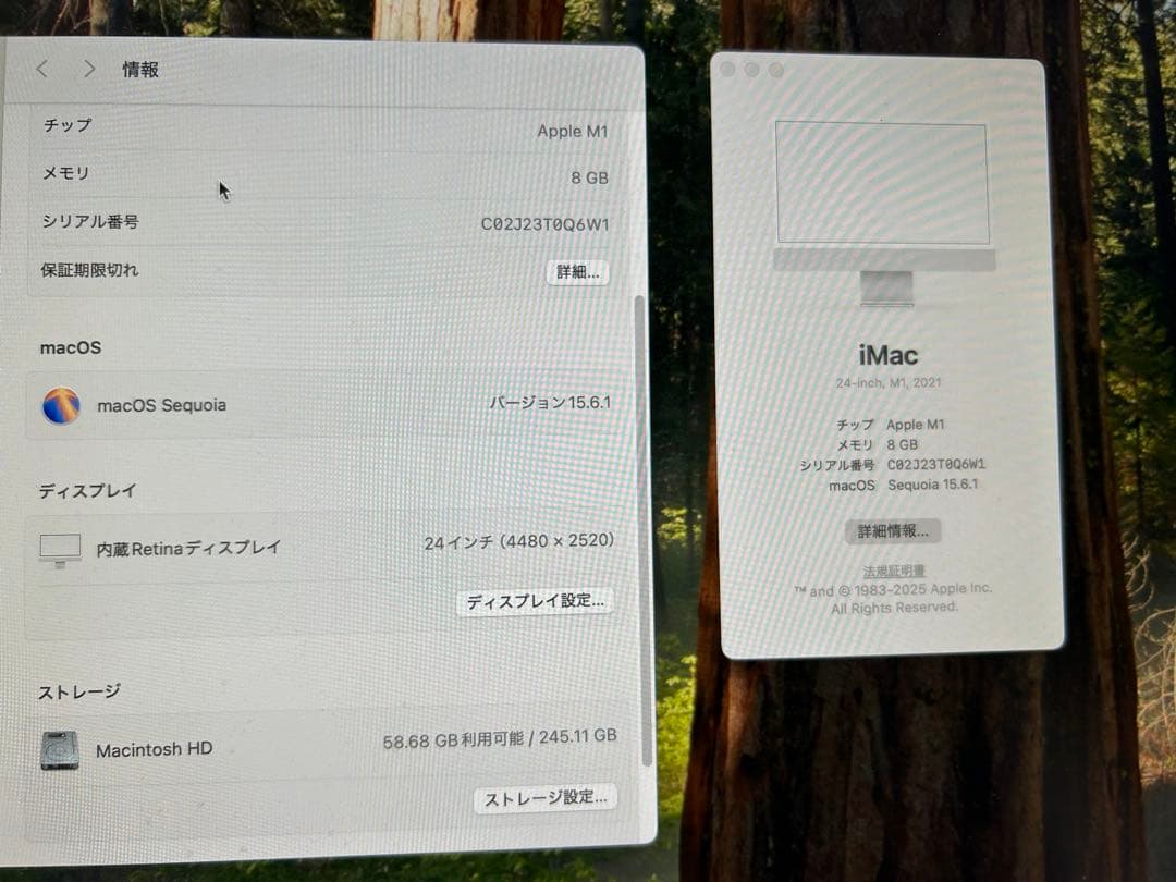 Apple iMac シルバー24インチ M1 2021