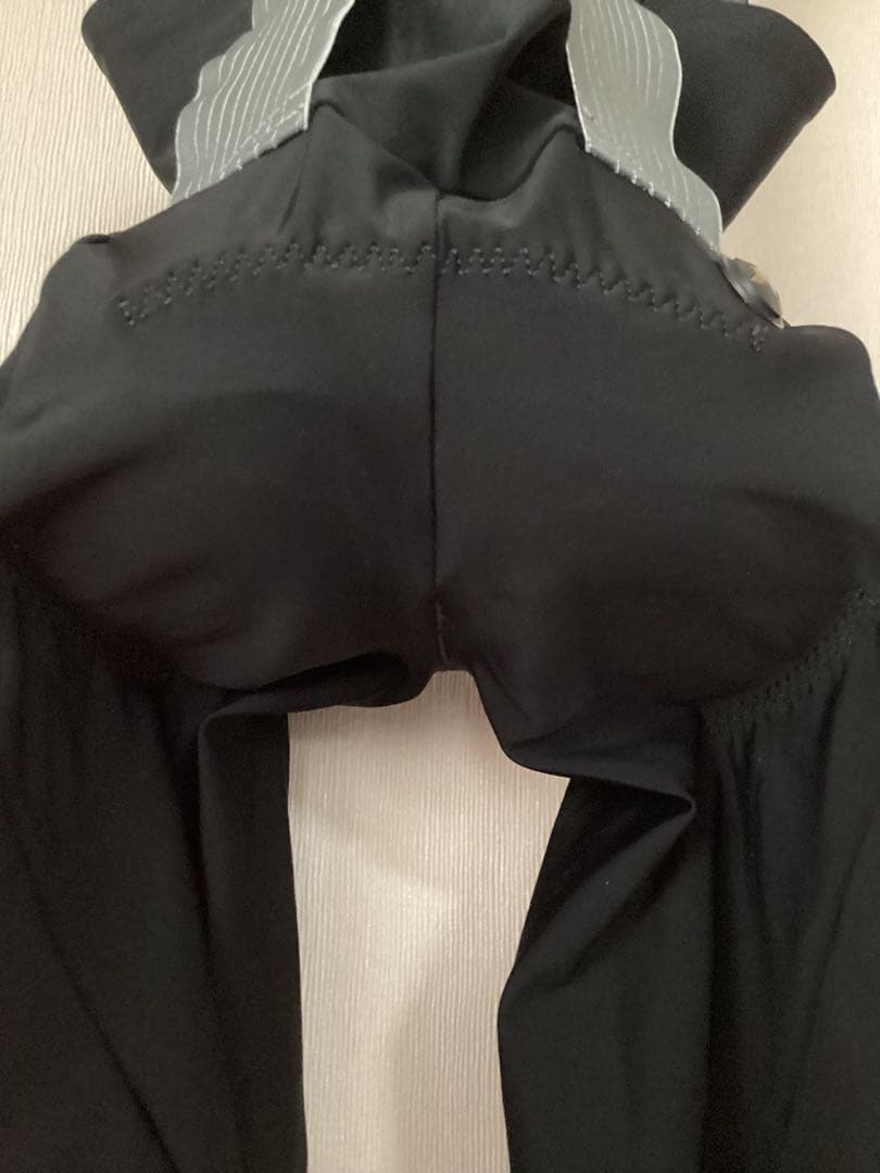 ウェア ASSOS MILLE GTO BIB SHORTS C2 black