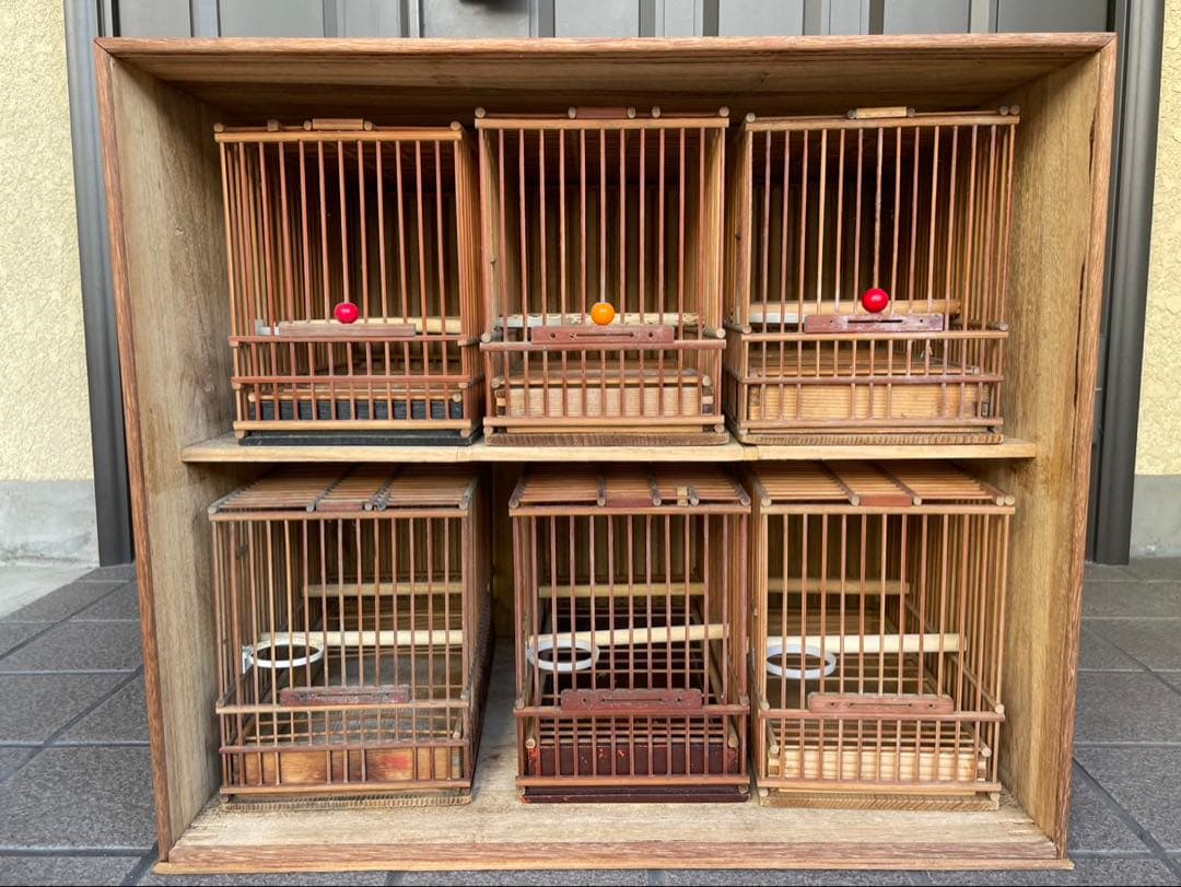 メジロ寝かせ箱　カゴ６個セット