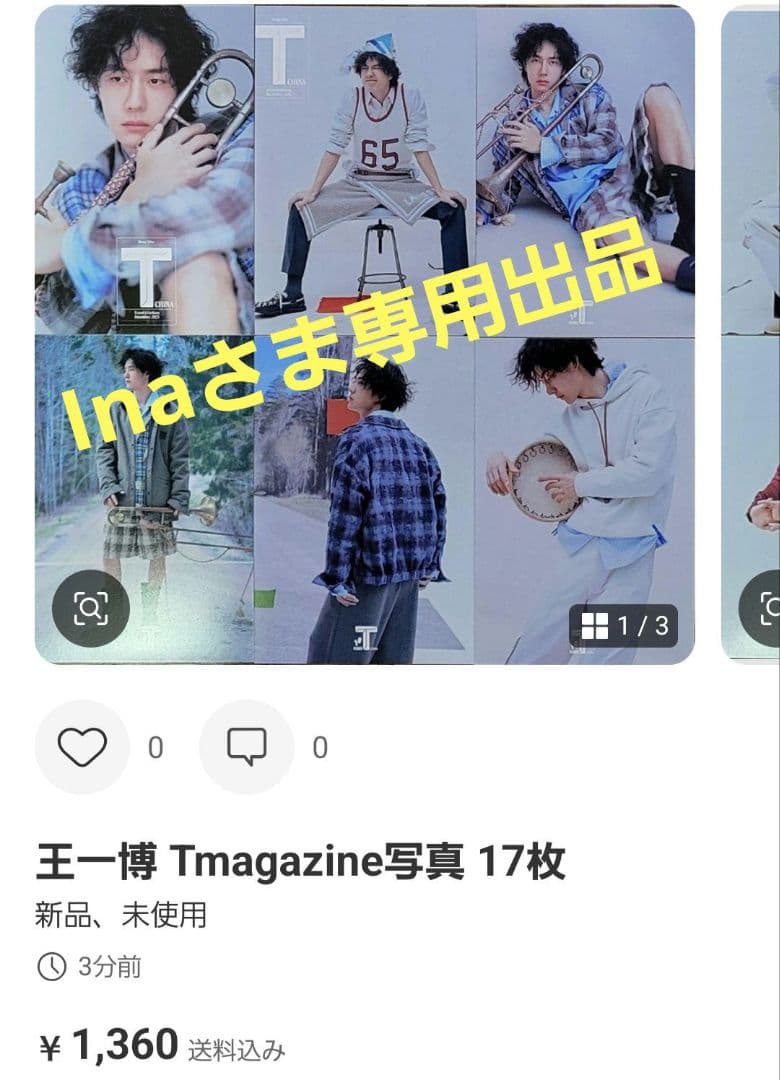 Inaさま専用出品