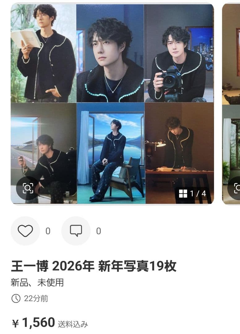 Inaさま専用出品