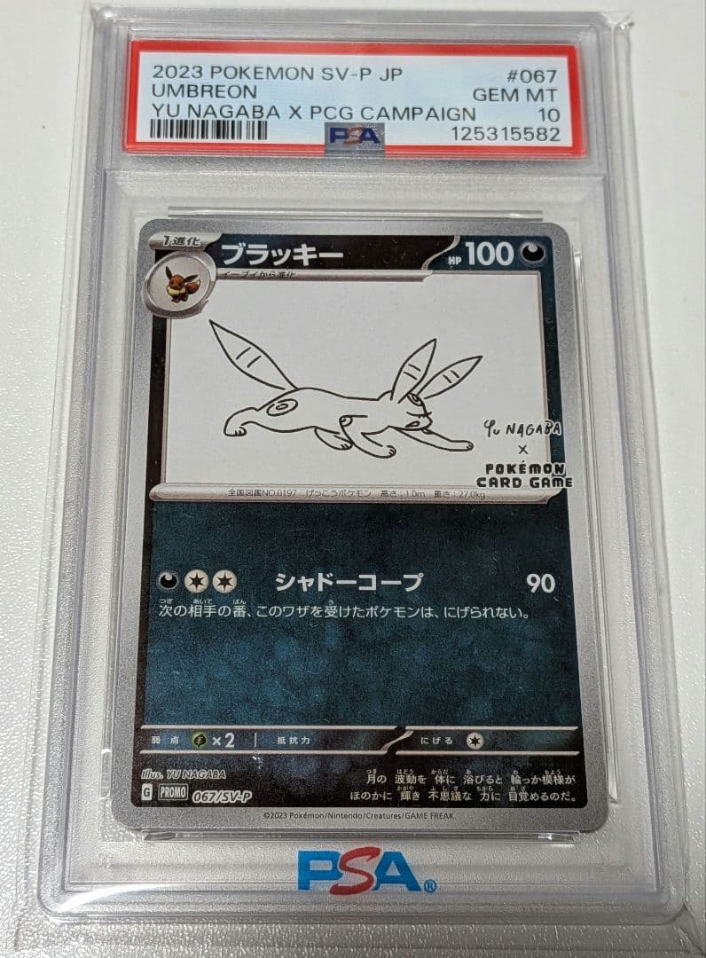 ポケモンカード ポケカ 長場雄 プロモカード ブラッキー PSA10