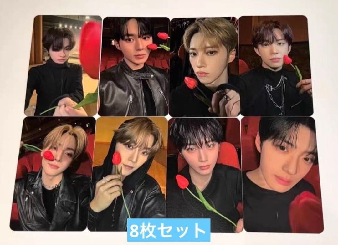 ALD1 EUPHORIA サノク 限定 トレカ 8枚セットE