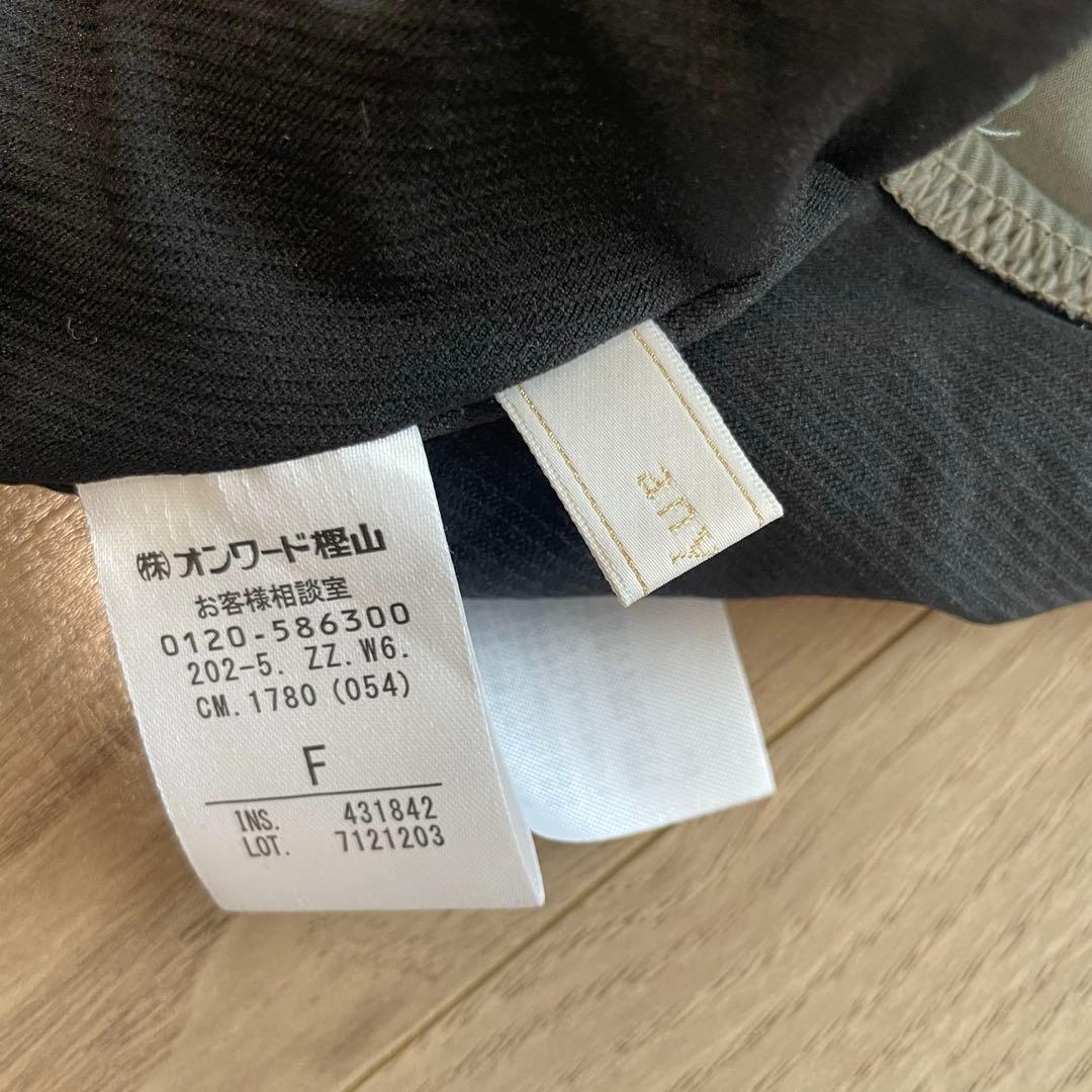 エニィシス　ティアード　水着　セットアップ