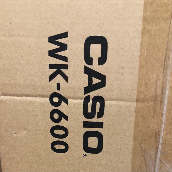 その他 CASIO W K-6600