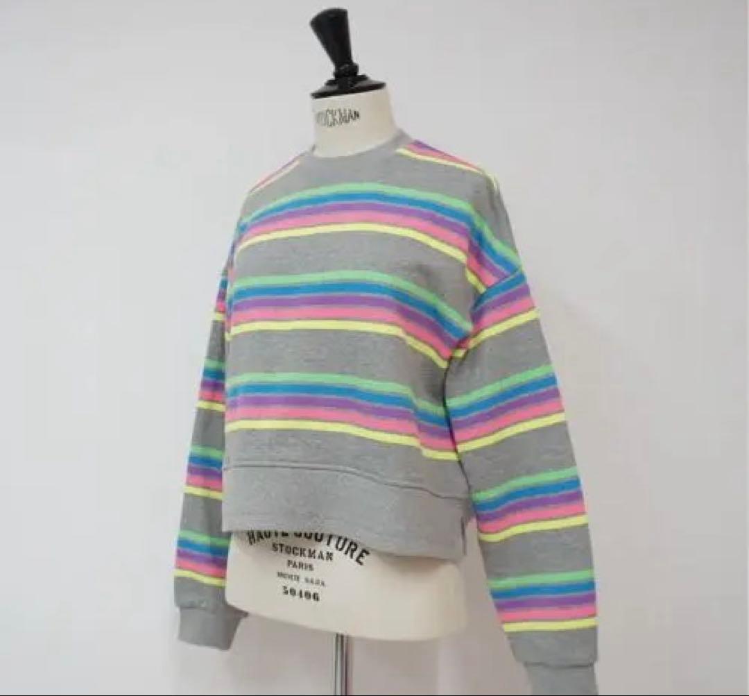 リンカブル カラフルボーダートップス(グレー)