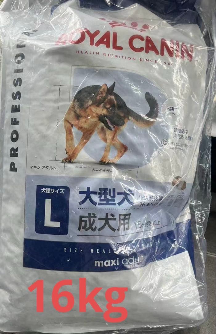  CANIN マキシアダルト L 大型犬用成犬用　16kg