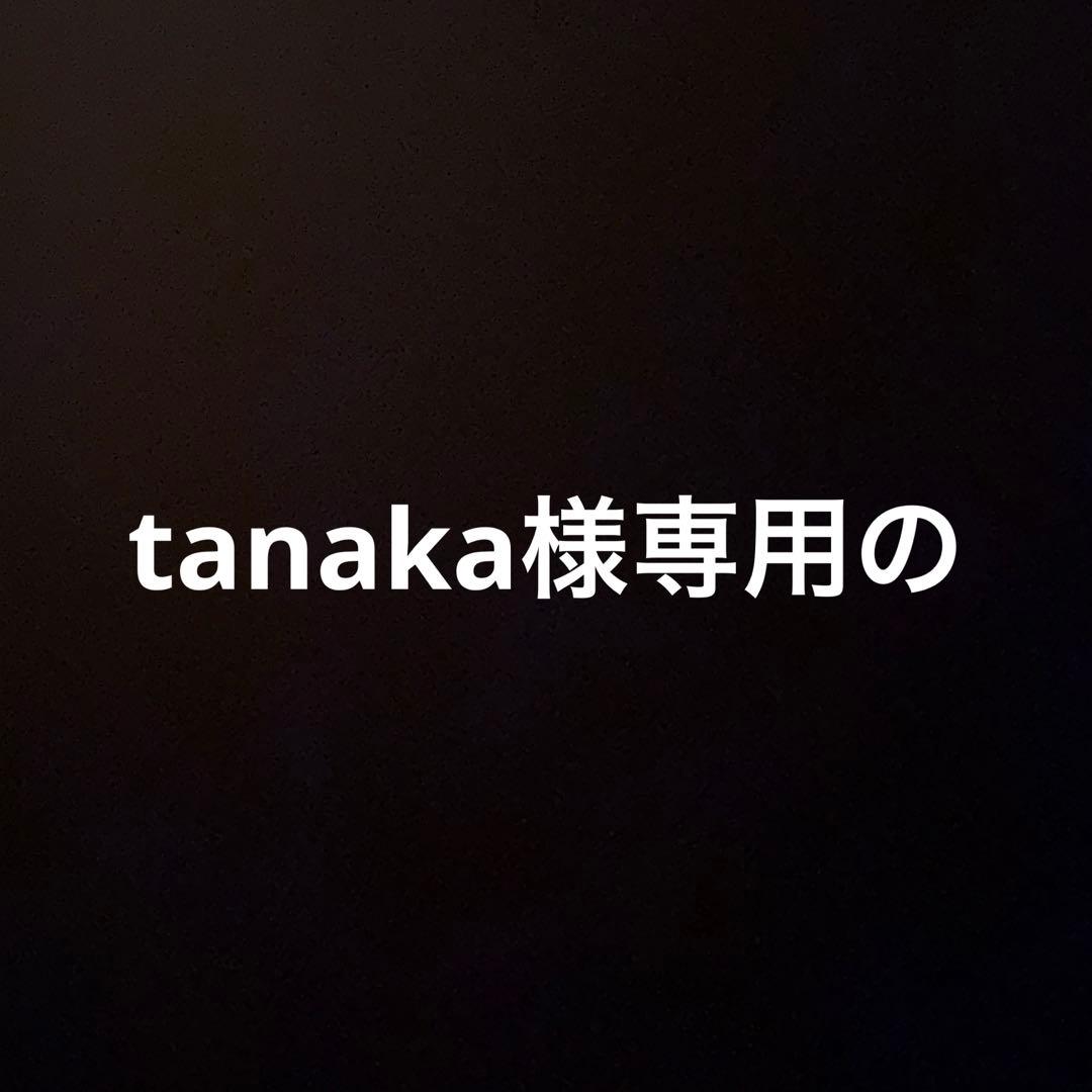 2人掛け・3人掛けソファ tanaka