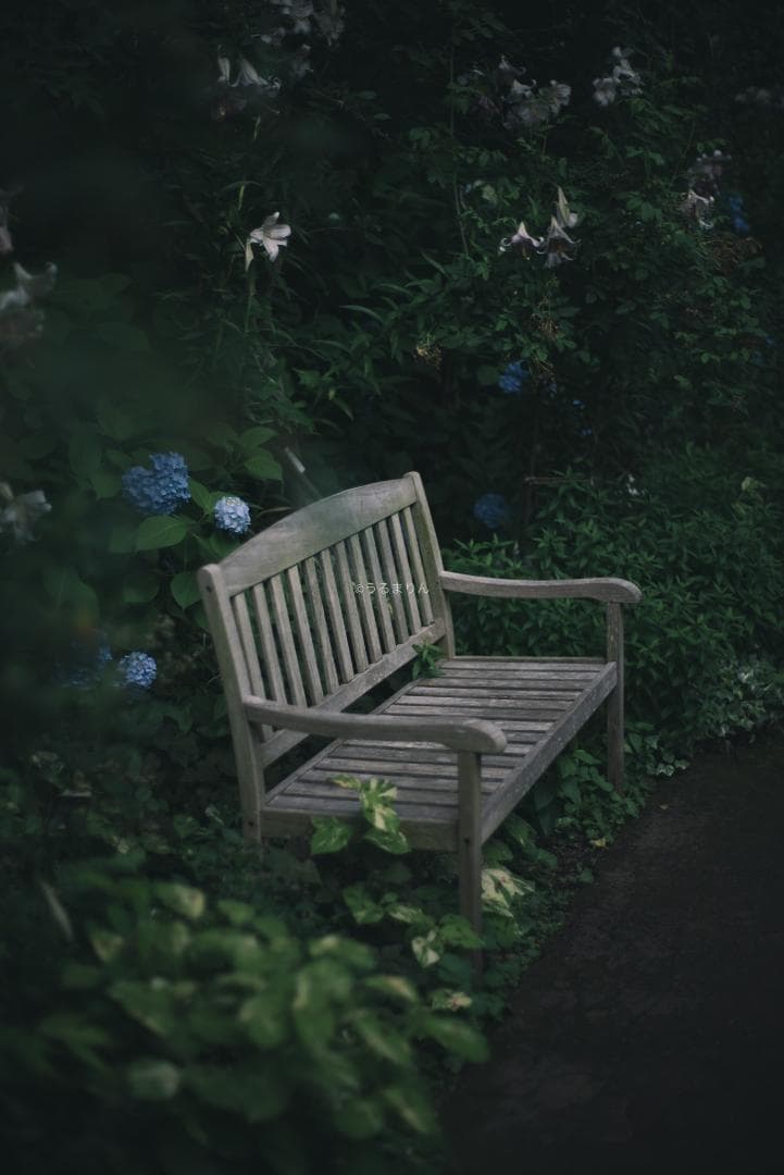 箱付極美品！標準の帝王 Planar 50mm F1.4 AEJ オールドレンズ