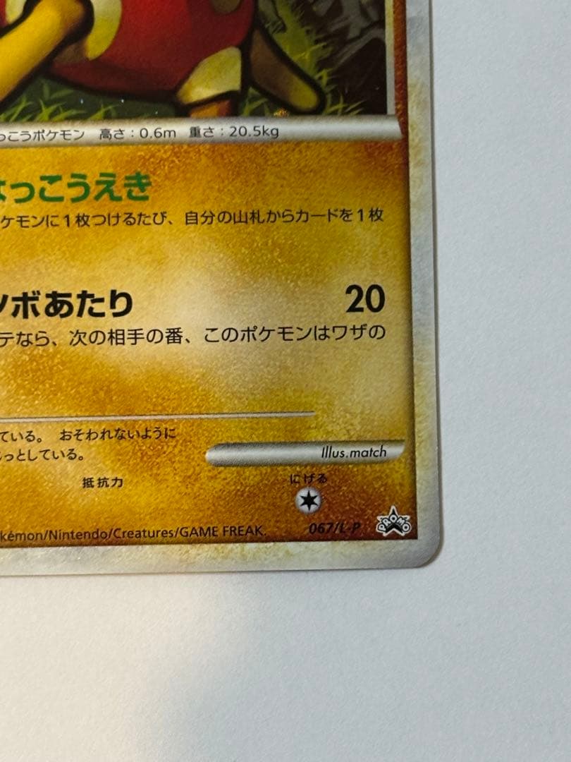 ツボツボ [ポケモンチャレンジひろば2010] 067/L-P