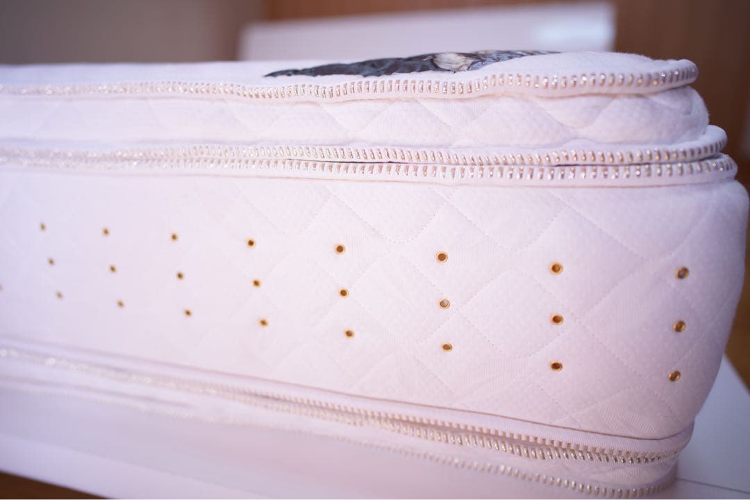 Camel サータ パーフェクトスリーパー Q1サイズ 定価20万円超