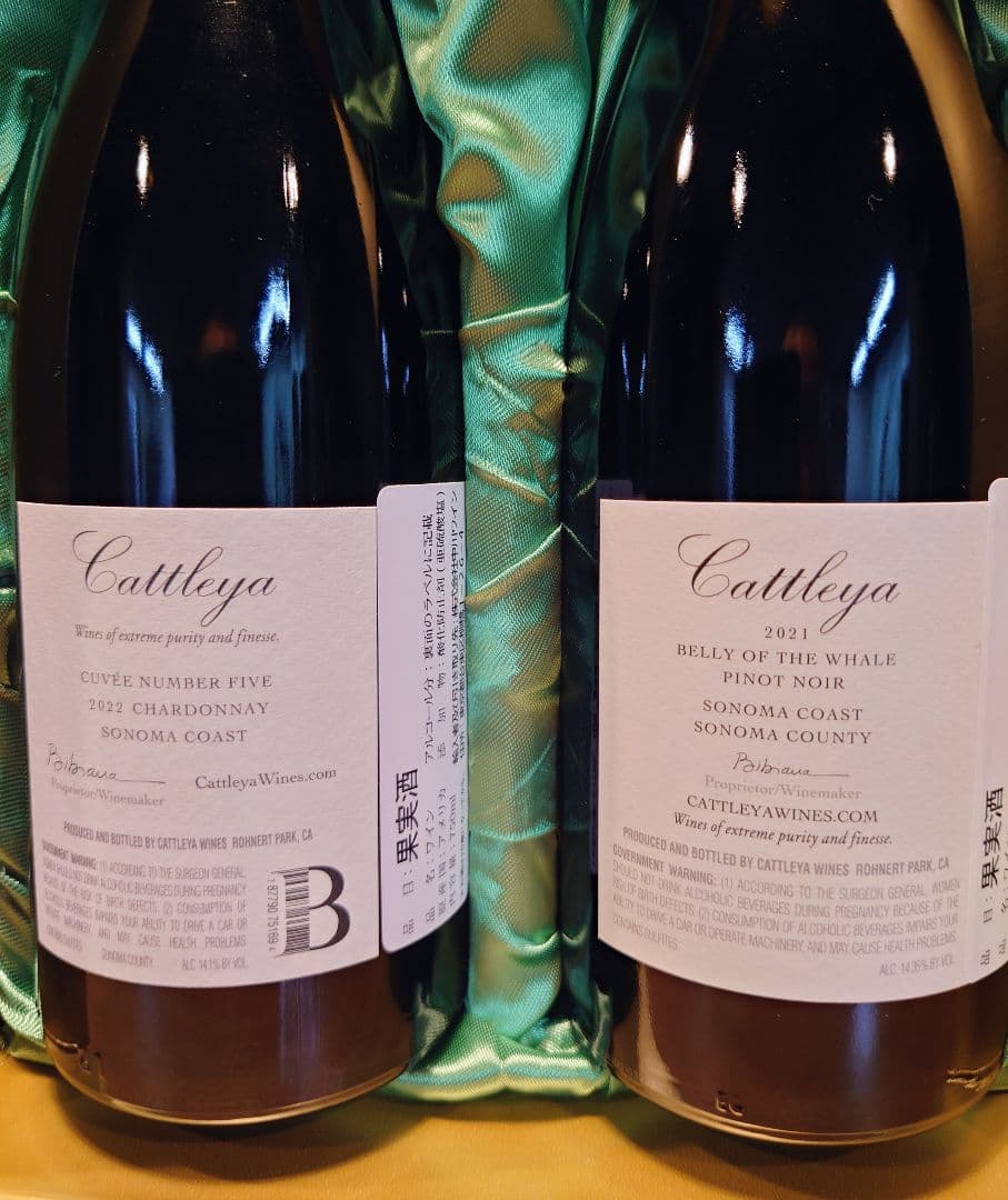 大特価‼️Cattelya ワイン2本セット 2021-2022